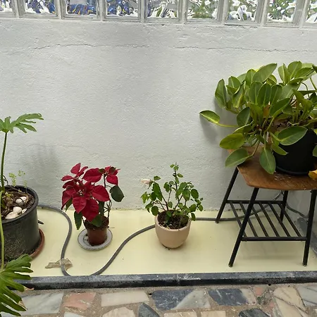 Foz Surfcamp Πανσιόν