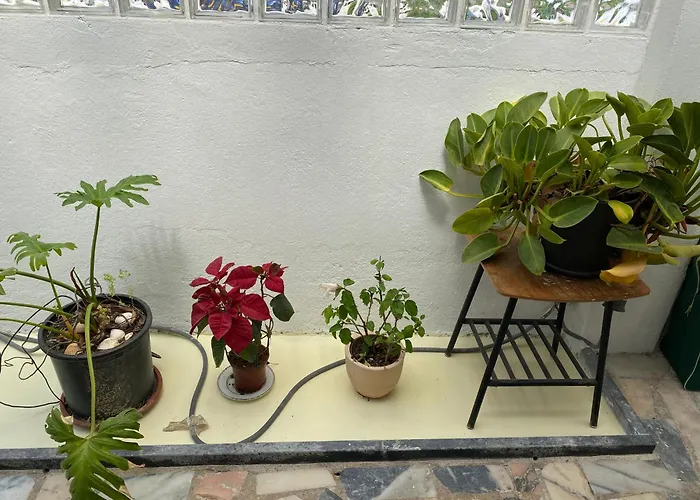 Foz Surfcamp Gasthof